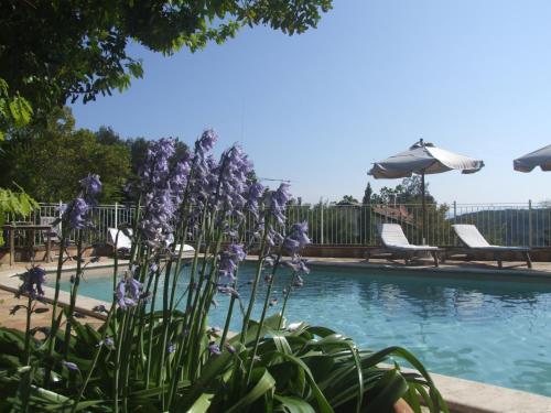 Vacanze Toscane In The Country — Sassetta — photo 4