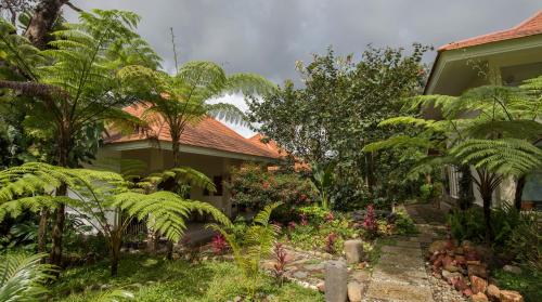 Ara Garden Inn Accommodation Yoga Studio & SPA — hotel in Ruteng