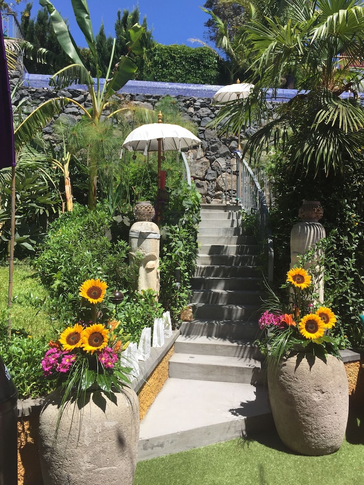 Dazkarizeh 73 — 4-Star Luxury Hotel in Ribeira Brava, Portugal