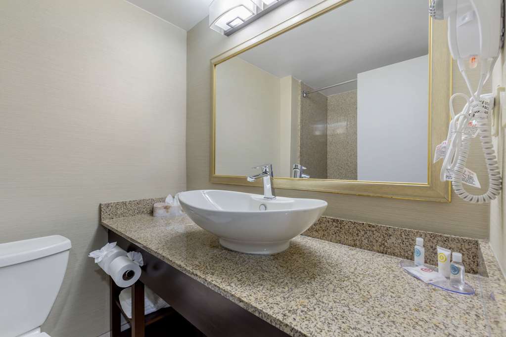 Comfort Inn Herndon Reston - photo 22