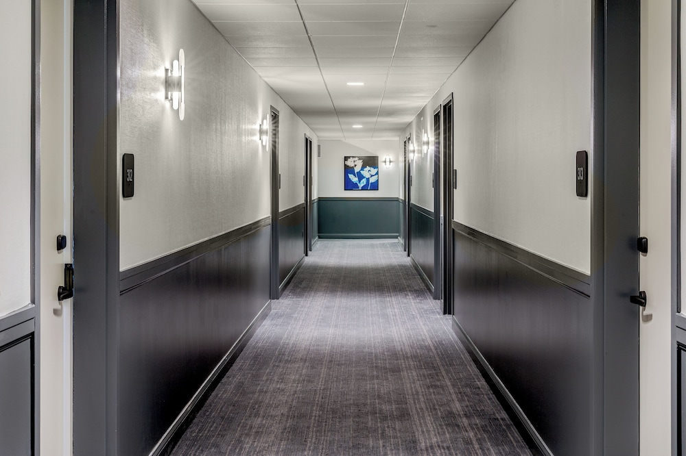 The Brunswick Hotel - photo 31