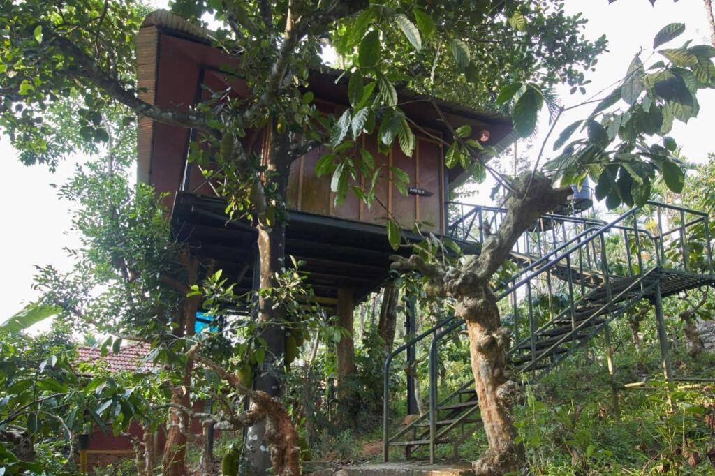 Wynberg Resorts in Wayanad, India