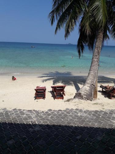 Senja Bay Resort - carbon neutral hotel in Kuala Terengganu