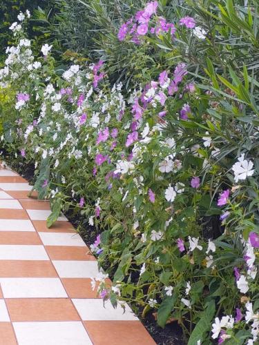 Quinta Rubi — Las Rosas — photo 2