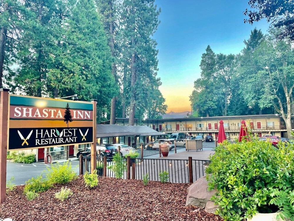 Shasta Inn - featured photo