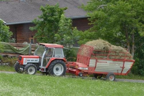 Mölltaler Ferienhäuser — Grosskirchheim — photo 5