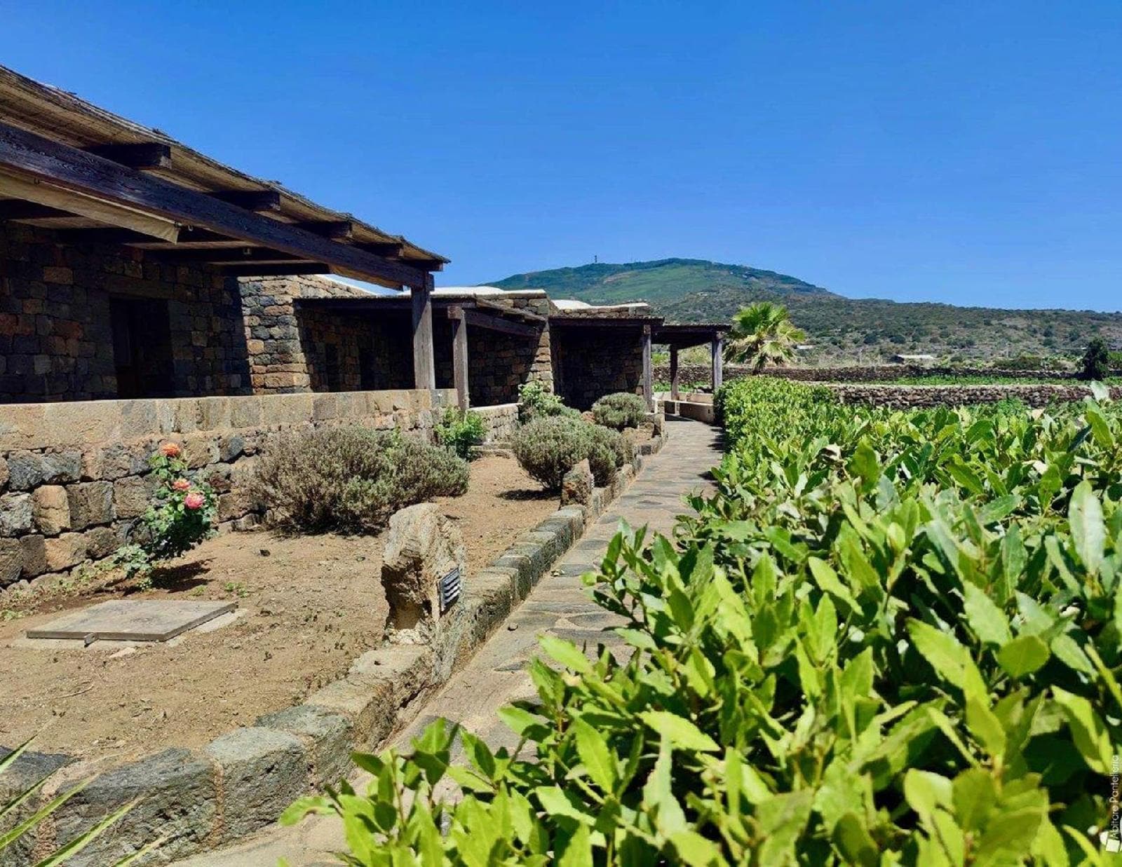 Tenuta Bukkuram in Pantelleria, Italy