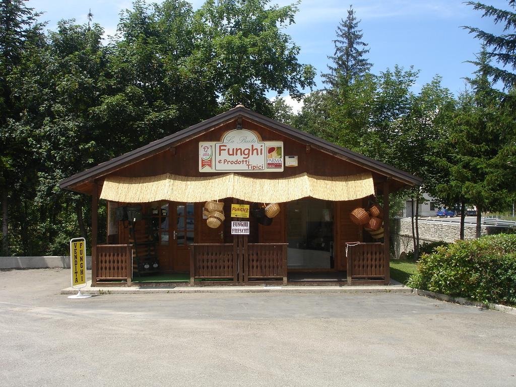 Albergo Ristorante Ruggeri — hotel in Albareto