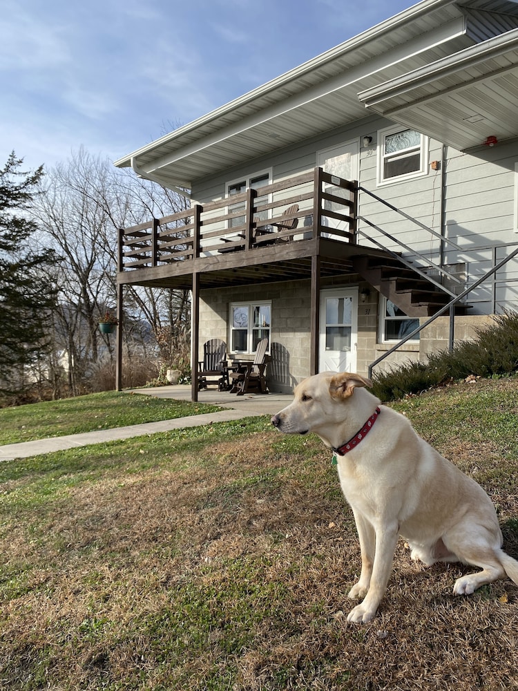 Little Bluff Inn - photo 24