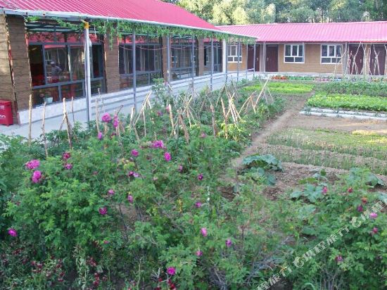 Deren Shanzhuang Hostel in Urumqi, People's Republic of China