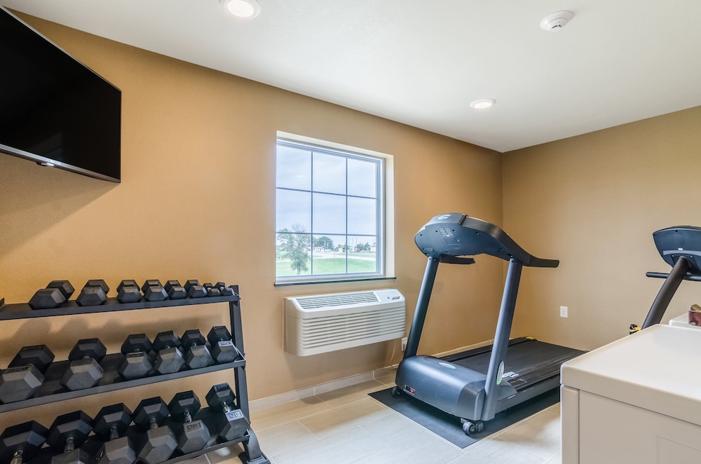 Cobblestone Inn & Suites Oberlin - photo 22