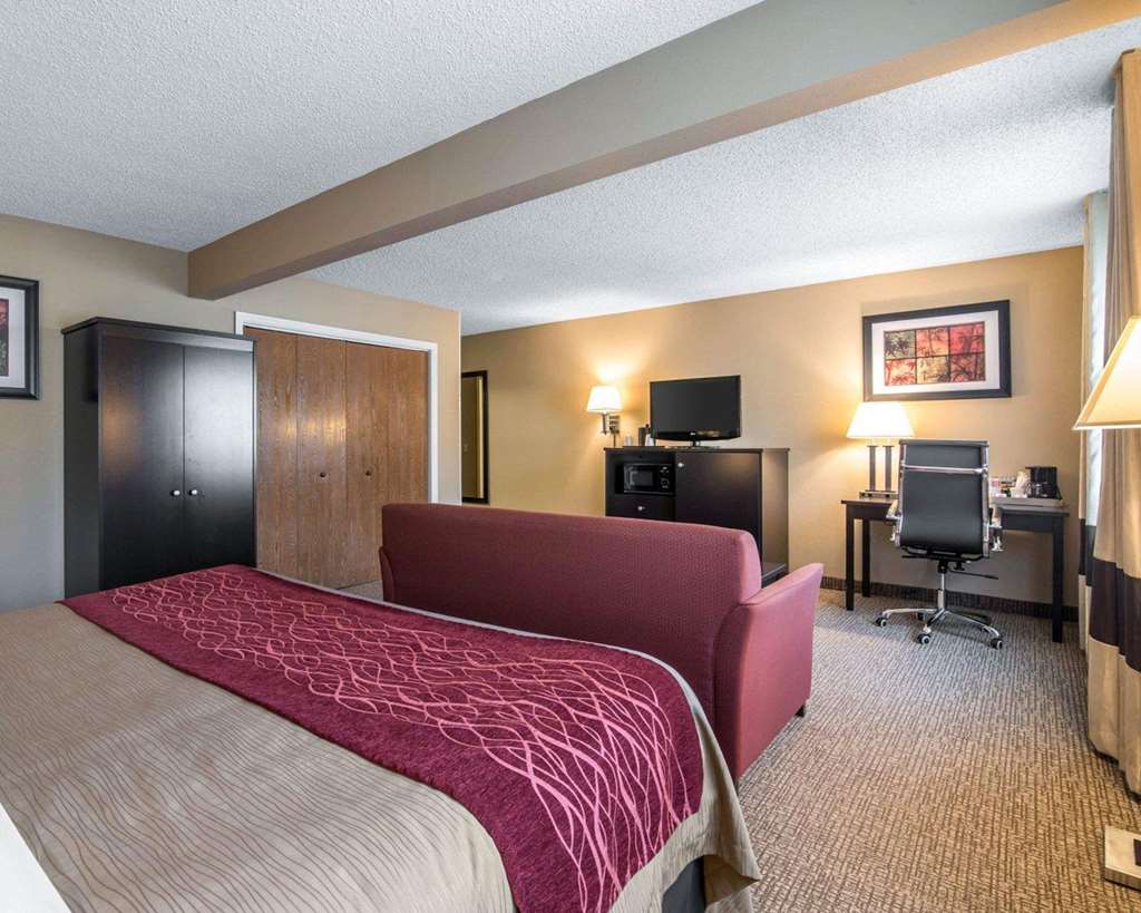 Comfort Inn Saugerties - photo 23