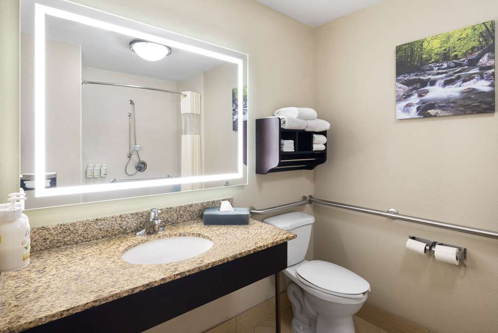 La Quinta Inn & Suites by Wyndham Knoxville Airport - photo 12