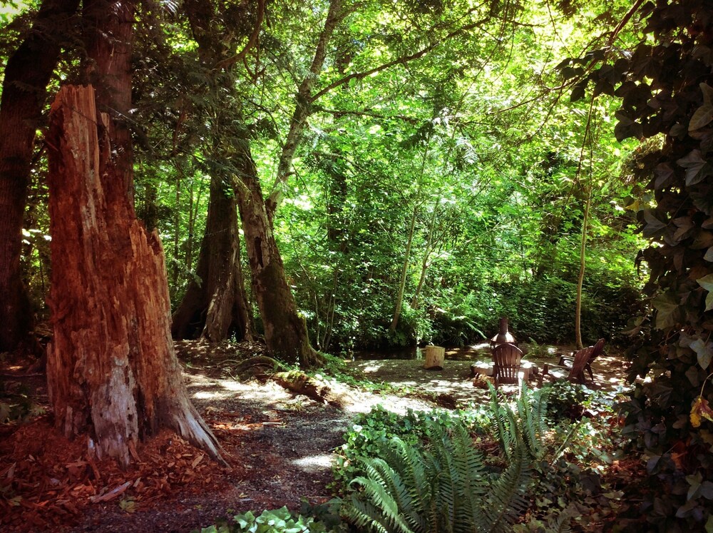 Robin Hood Village Resort - photo 113