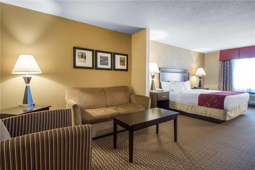 Comfort Suites Wisconsin Dells Area - photo 20
