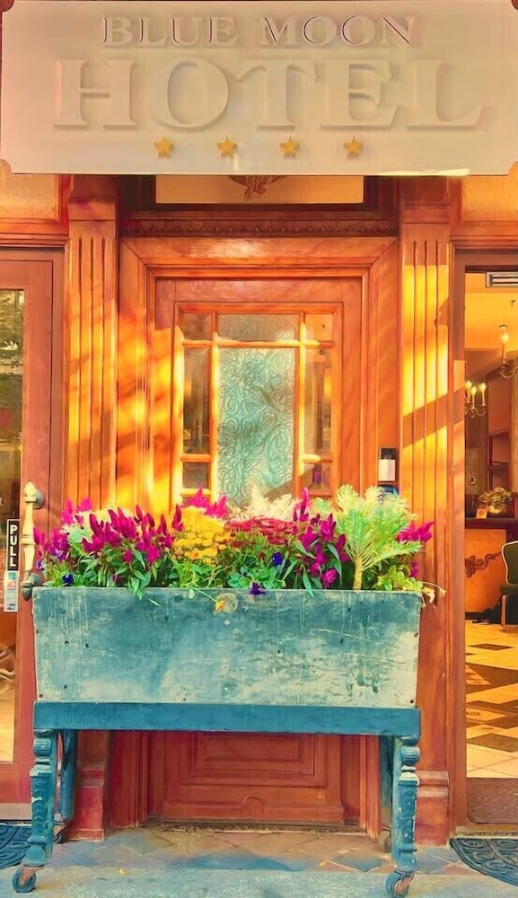 The Historic Blue Moon Hotel NYC - photo 59