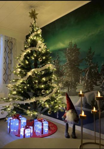 Aurora Night Stay in Rovaniemi in Rovaniemi, Finland