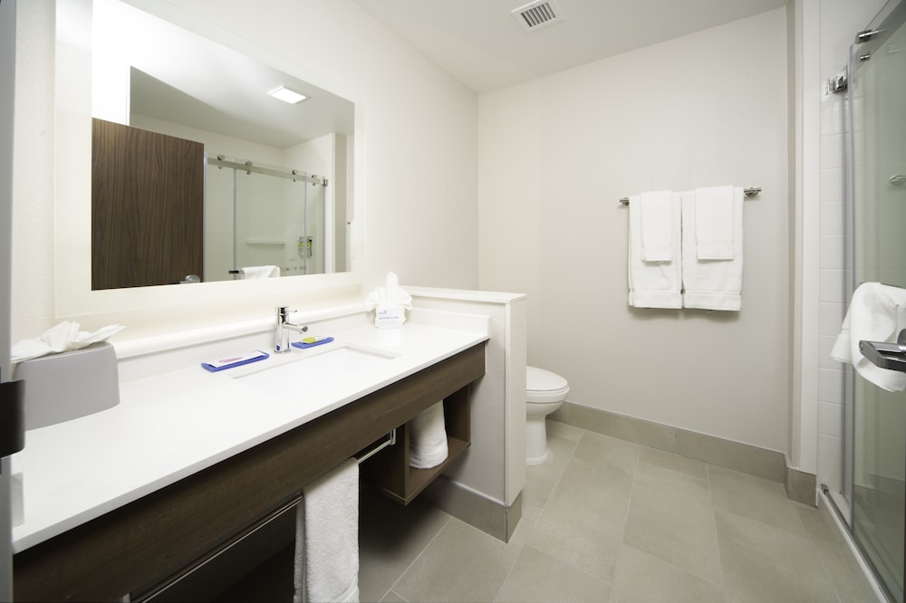 Holiday Inn Express & Suites Fort Myers Airport by IHG - photo 20