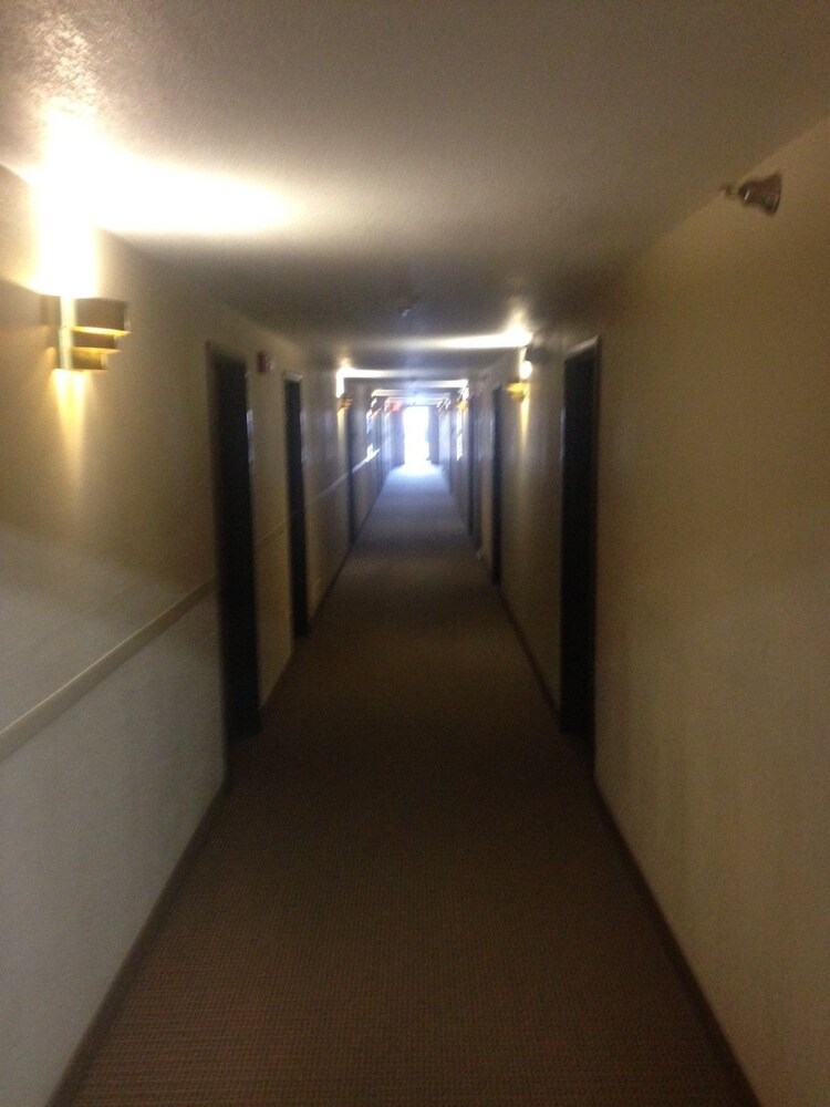 The Thunder Cove Hotel - photo 18