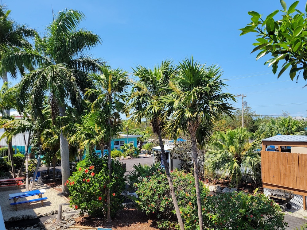 Looe Key Reef Resort - photo 53
