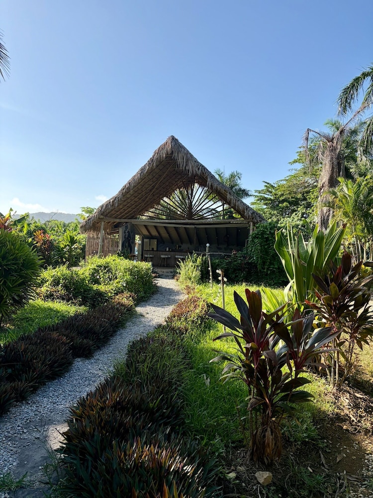 Dominican Jungle Resort in Samana, Dominican Republic