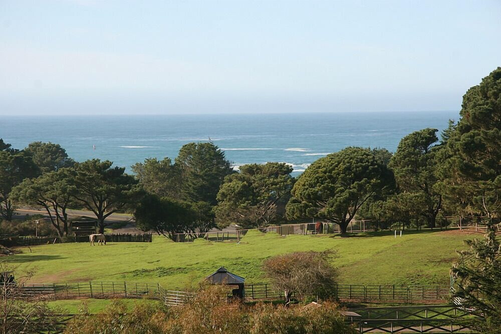 The Stanford Inn By The Sea Eco Resort - photo 87