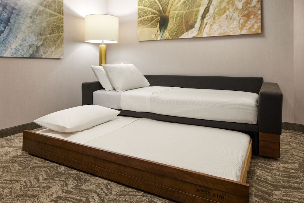 SpringHill Suites by Marriott Frederica - photo 7