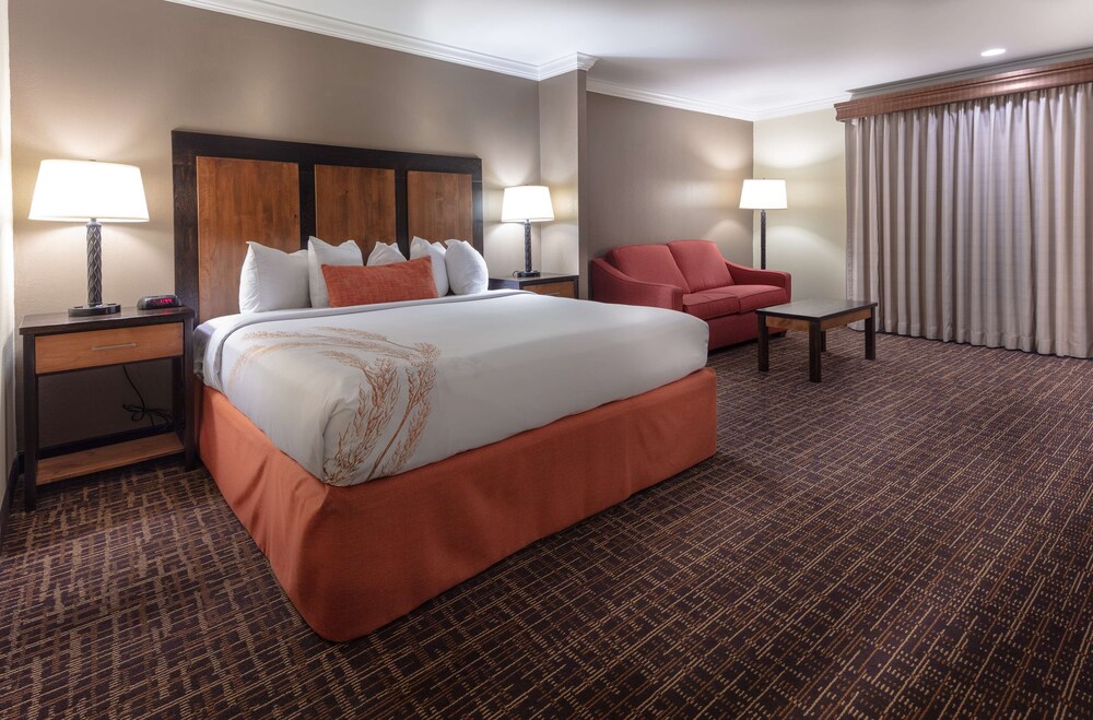 Best Western Wichita North Hotel and Suites - photo 19