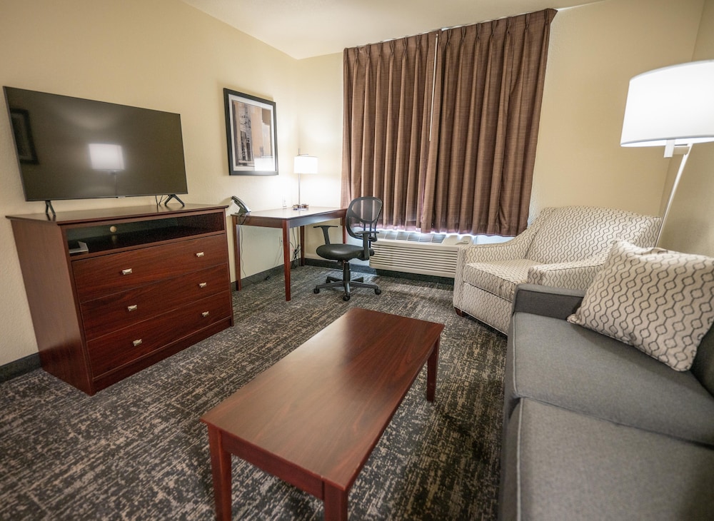 Cobblestone Hotel & Suites Lamar - photo 23