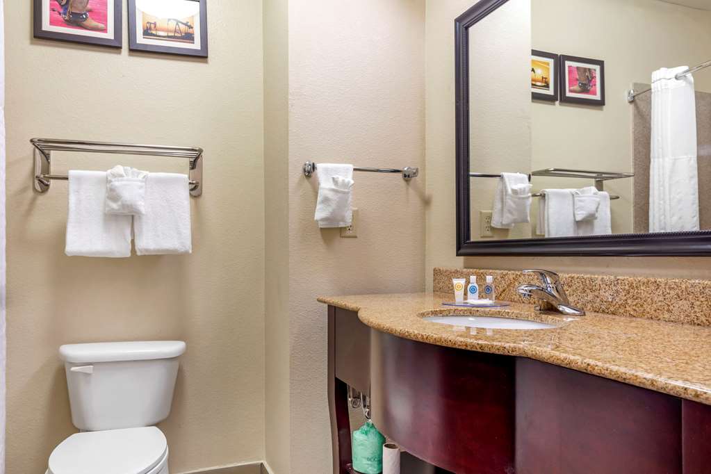 Comfort Inn Near UNT - photo 15