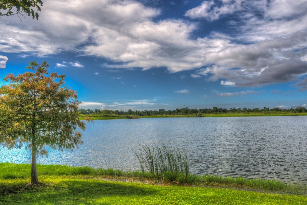 Orlando Luxury Escapes - photo 459