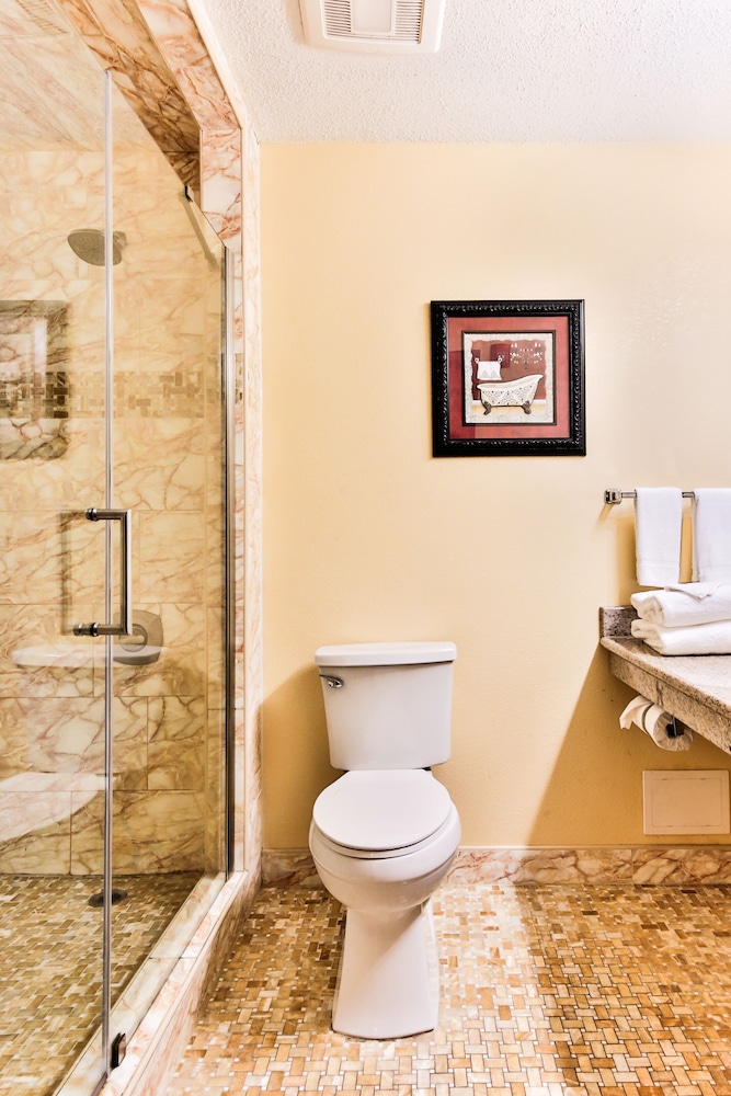 The View Inn & Suites - photo 16