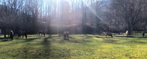 Stony Creek Motel - photo 18