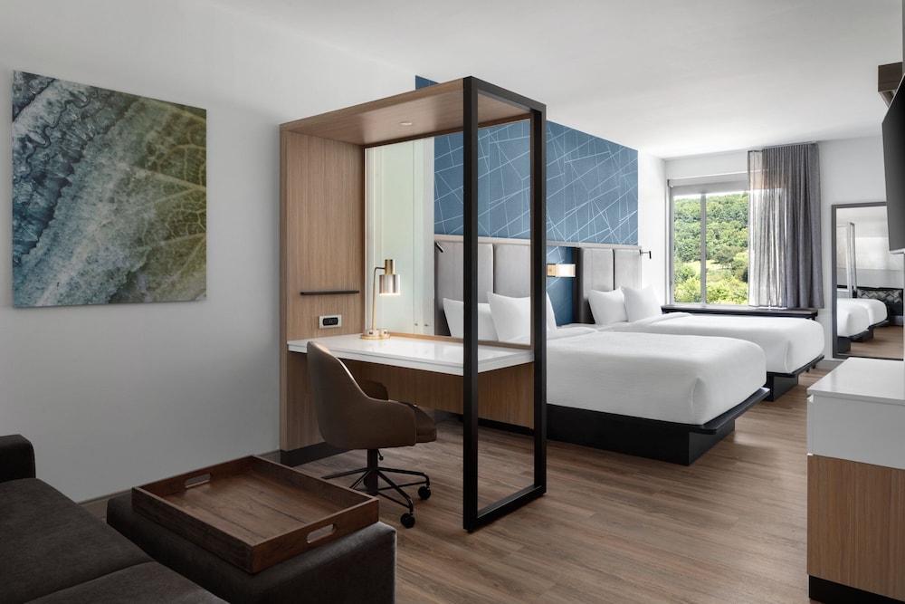 SpringHill Suites by Marriott Roanoke North - photo 8