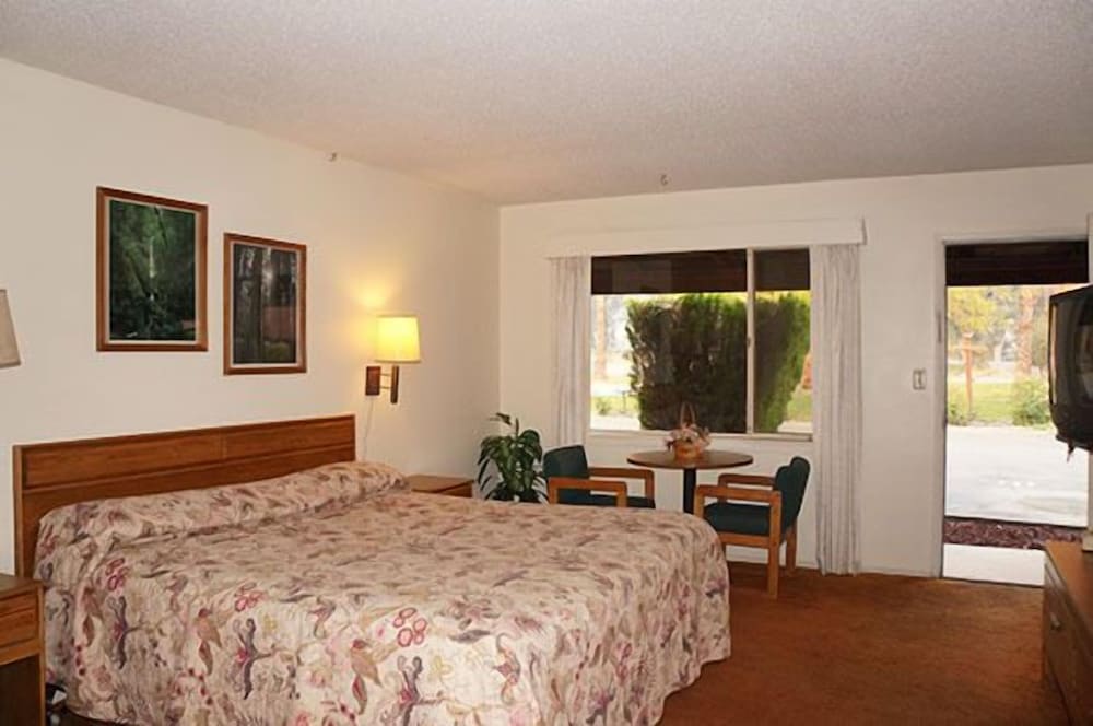 Blue Gum Motel - photo 22
