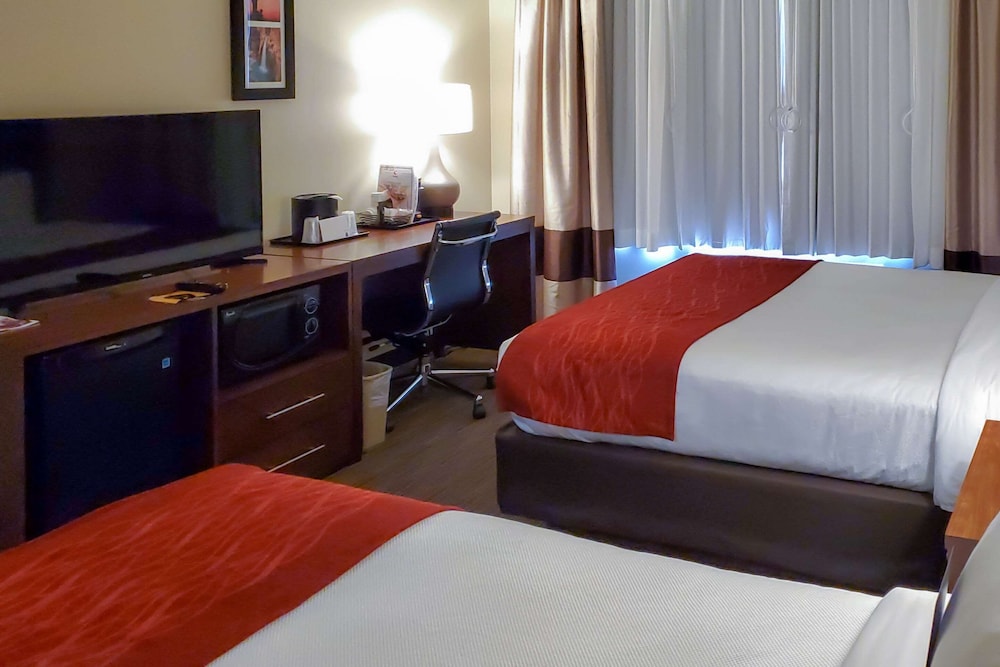 City Express by Marriott Tempe - photo 49