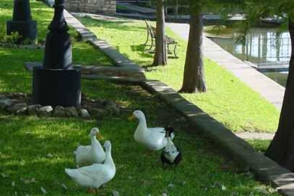 Rio Vista Resort - photo 42