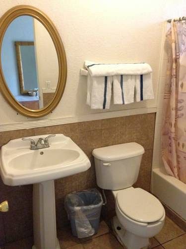 Sahara Hot Springs Family Park & Inn - photo 8
