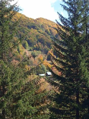 Naša kuća Veruša in Podgorica, Montenegro