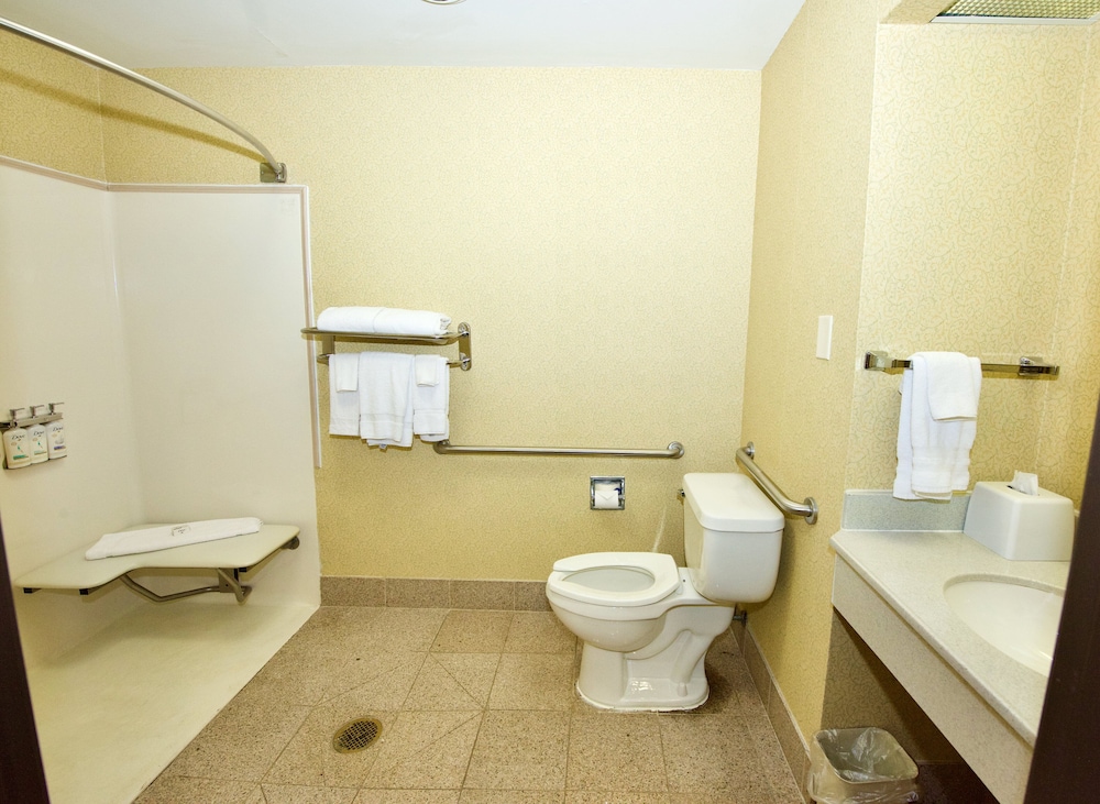 Holiday Inn Express & Suites St. Louis West Fenton by IHG - photo 18