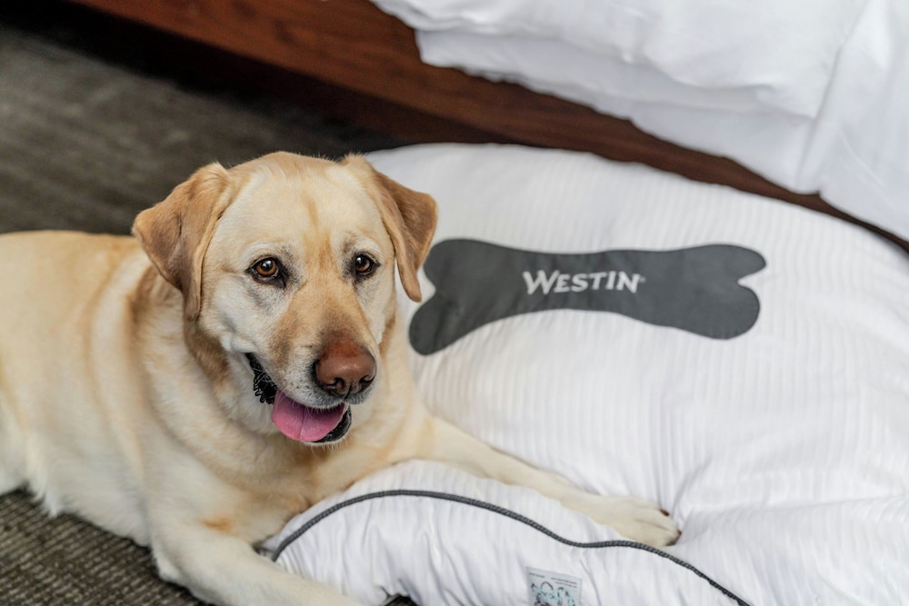 The Westin Charlotte - photo 53