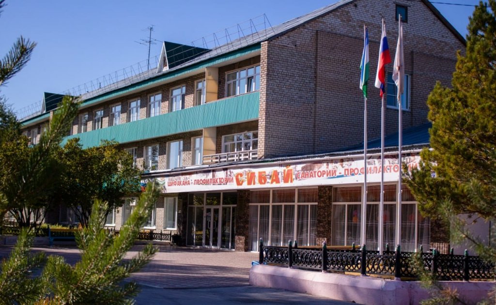 Profilaktoriy Zdravnitsa Zauralyya Health Resort — hotel in Sibay