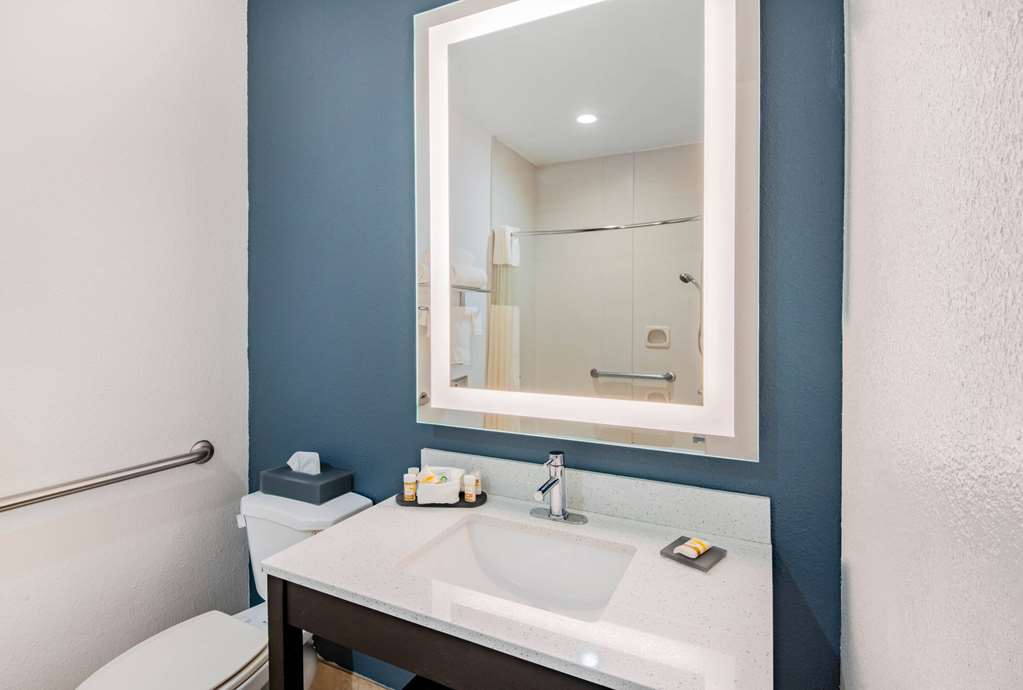 La Quinta Inn & Suites by Wyndham Dalhart - photo 39