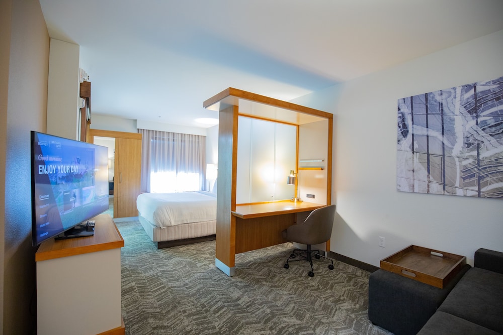SpringHill Suites by Marriott Baton Rouge Gonzales - photo 10
