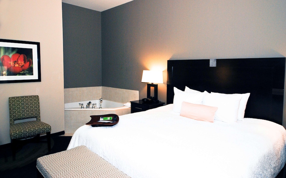 Hampton Inn Maumelle AR - photo 9