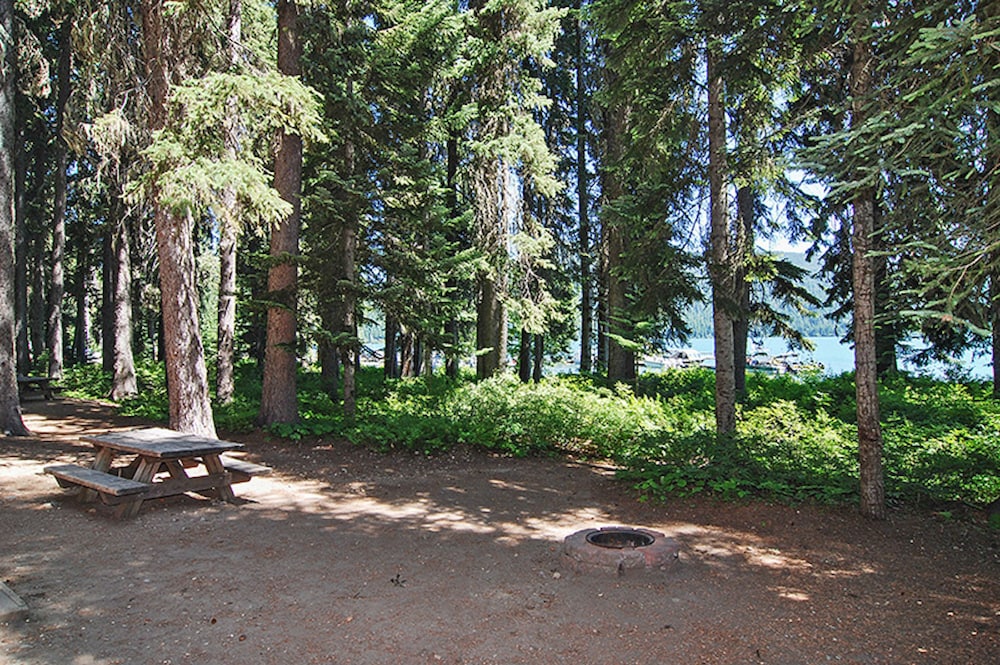 Shelter Cove Resort and Marina - photo 122