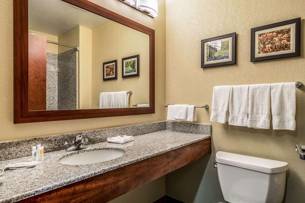 Comfort Suites Near Texas State University - photo 21
