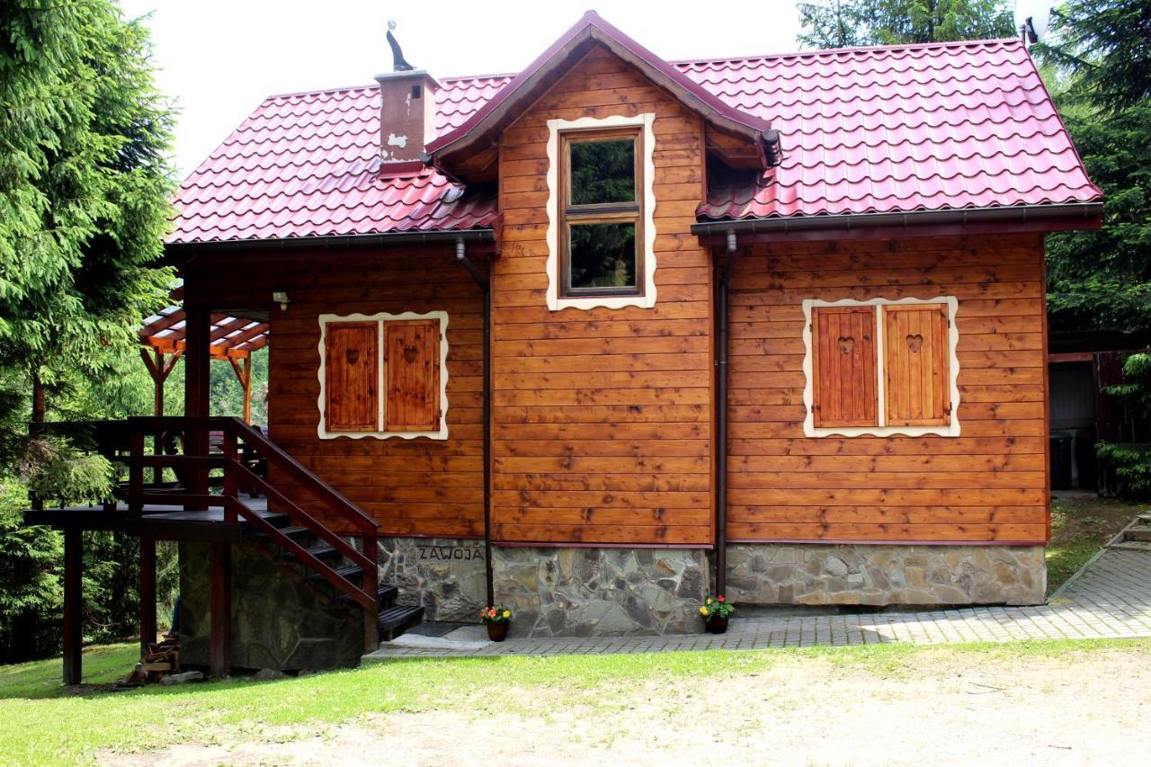 Zawoja Chaty Górskie D1 — hotel in Zawoja