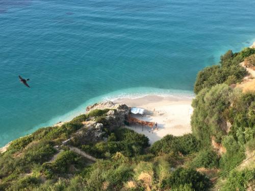 Odhisea Hotel Restaurant - last minute hotel in Vlore