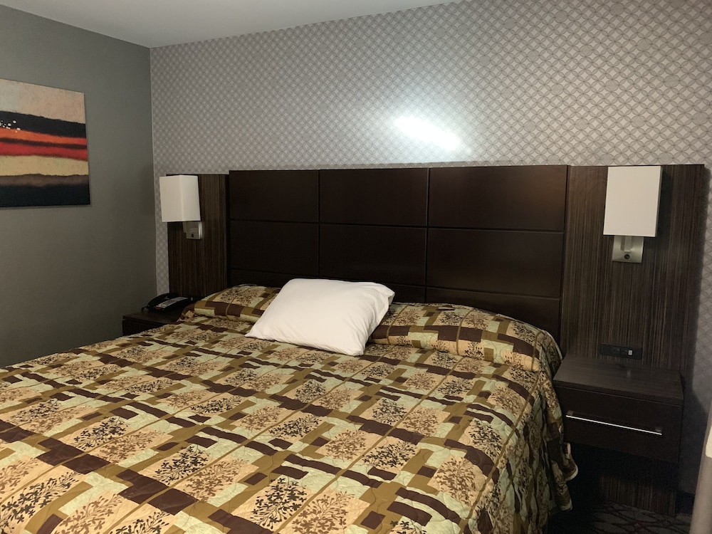 Red Carpet Inn Elmwood Park - photo 20